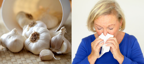 L’ail : un remède naturel pour prévenir et soulager les infections respiratoires hivernales