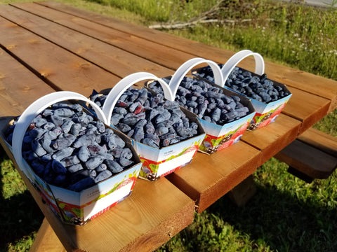 Le Tour Gourmand du Terroir – 3 destinations
