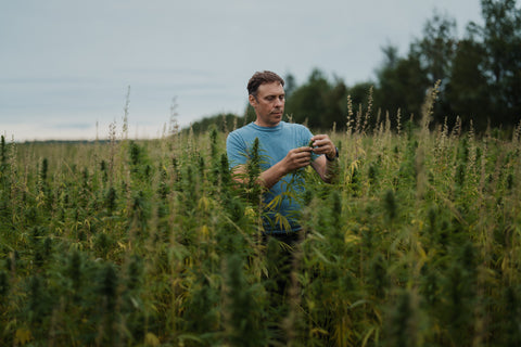 Agriculture bio et durable