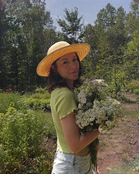 Atelier ''Cueillir Sauvage'' avec Roxane Simard - La Fête des Plantes Boréales