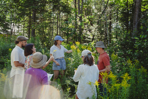 Atelier ''Cueillir Sauvage'' avec Roxane Simard - La Fête des Plantes Boréales