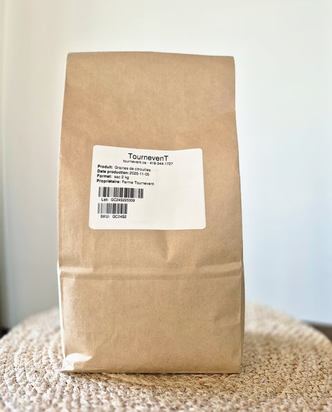 Graines de citrouille