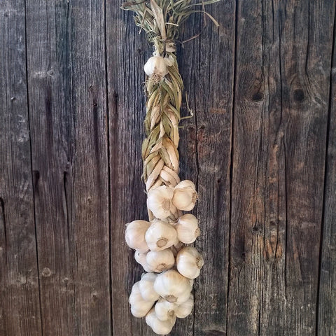 Organic garlic